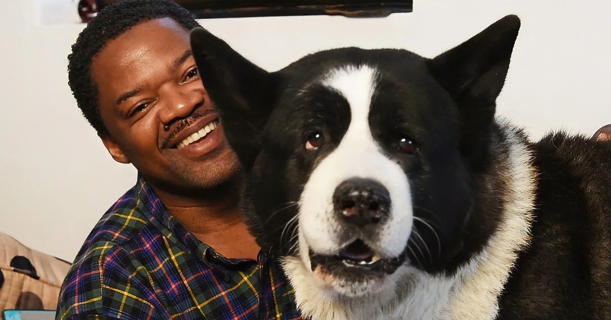 A man in a plaid shirt smiles while holding a black and white dog with a white stripe on its face.