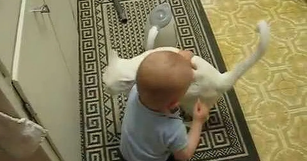 Baby and Cat Play Together! You Will Be Amazed at How Cute They Are!