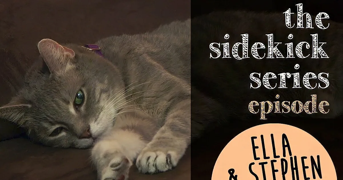 A gray tabby cat lounges on a dark surface, wearing a purple collar, with text overlay mentioning "The Sidekick Series...