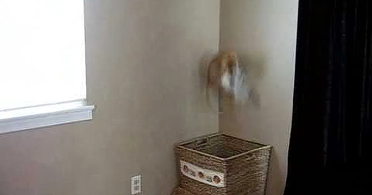 Kitten Loves to Help out With the Laundry!