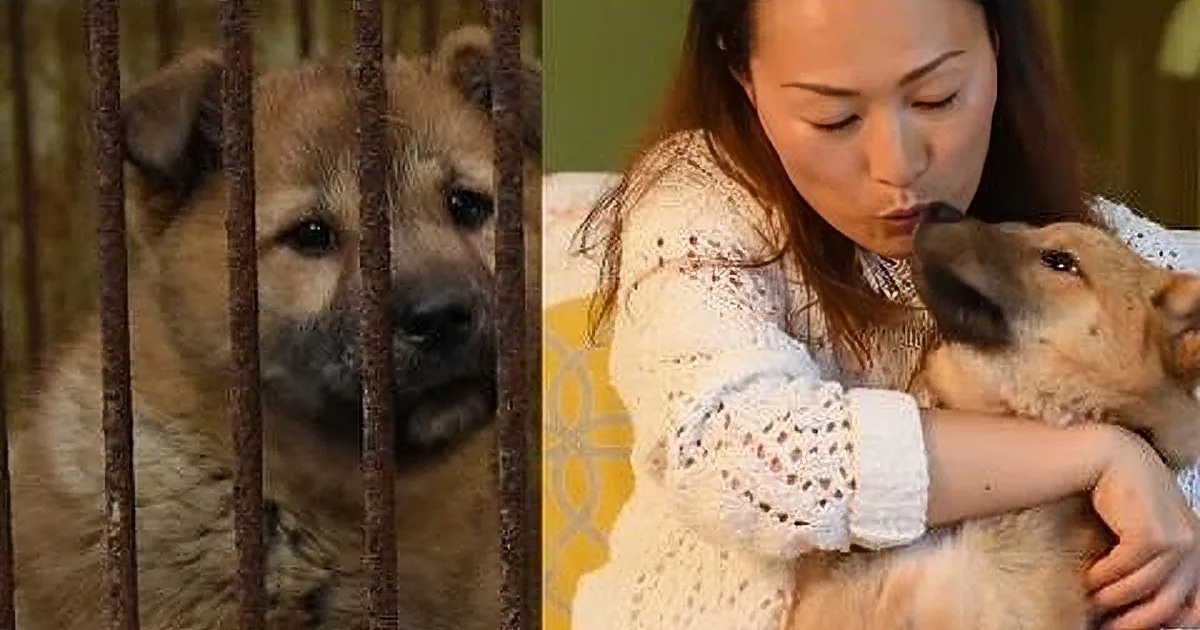 When She Finds out Where Her Dog Came From, She Can''t Hold Back the Tears!
