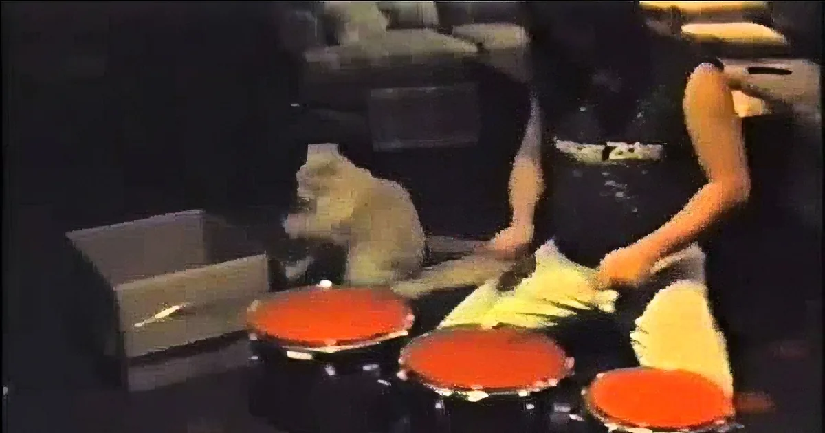 This Cat's Drumming Skills Will Blow You Away!