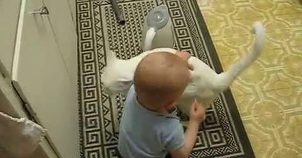 A baby in a blue shirt is sitting on a patterned rug, holding a white cat by its tail.