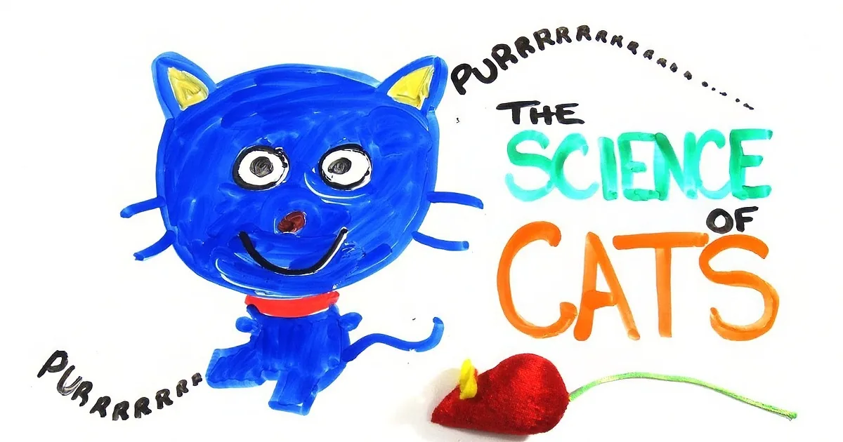 A blue cat with a red collar and a red mouse toy is depicted with the text "The Science of Cats" and "Purr".