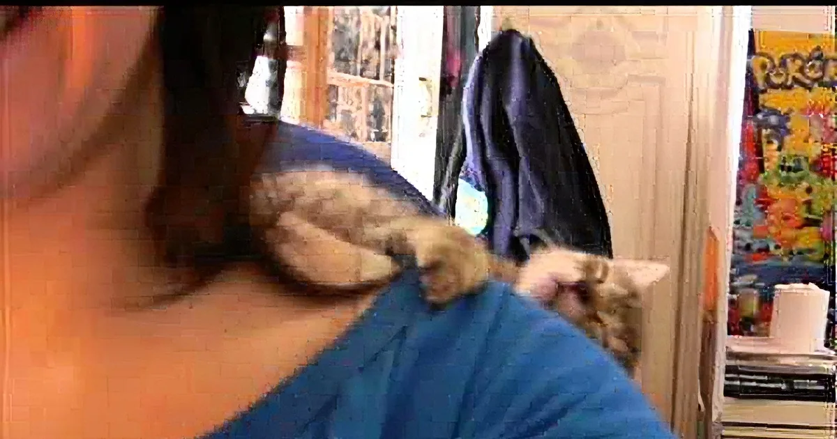 A person with a cat perched on their shoulder in a room with a colorful poster and coat rack.