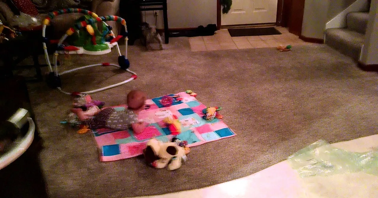 Need a Smile? This Baby Can''t Stop Laughing With Her Doggie Sibling. OMG LOL!