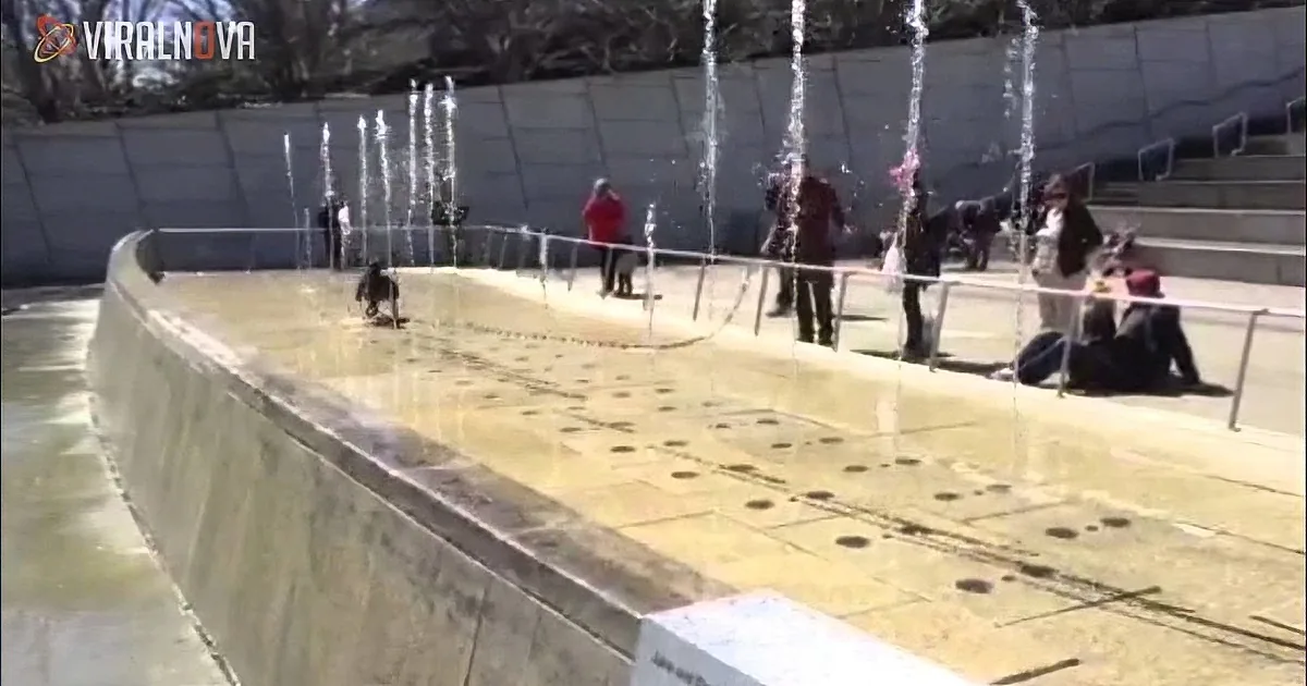 A dog runs through a water fountain, creating a playful scene with people watching.