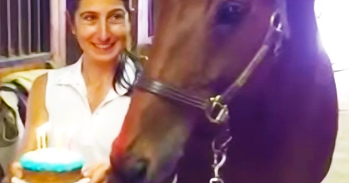 They Start Singing ''Happy Birthday'' for This Horse. but His Reaction Cracked Them Up!