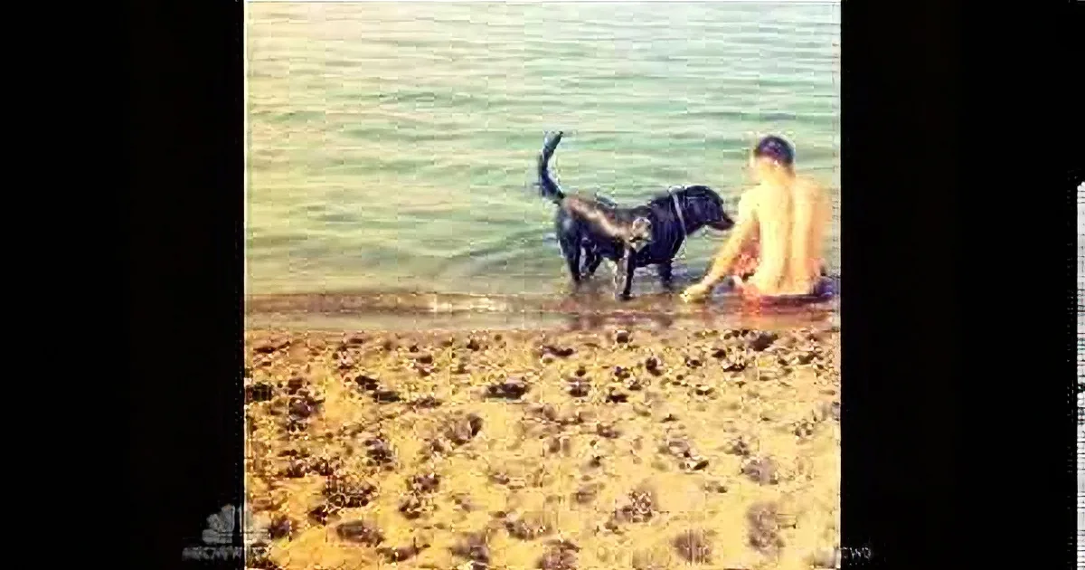 Marine Thought He Had Lost His Best Friend Forever. but What His Sister Did? You Won''t Believe It!