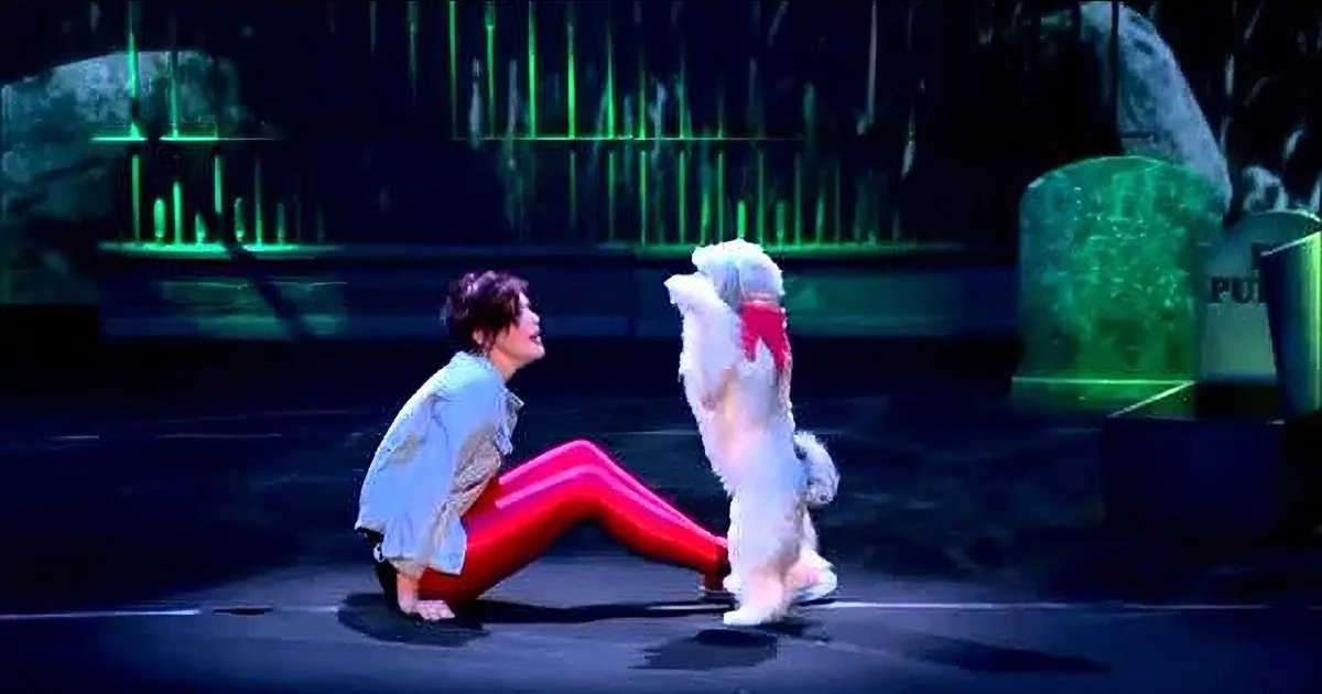 This Girl Trained Her Dog to Do Something I Never Thought Was Possible. Wow!