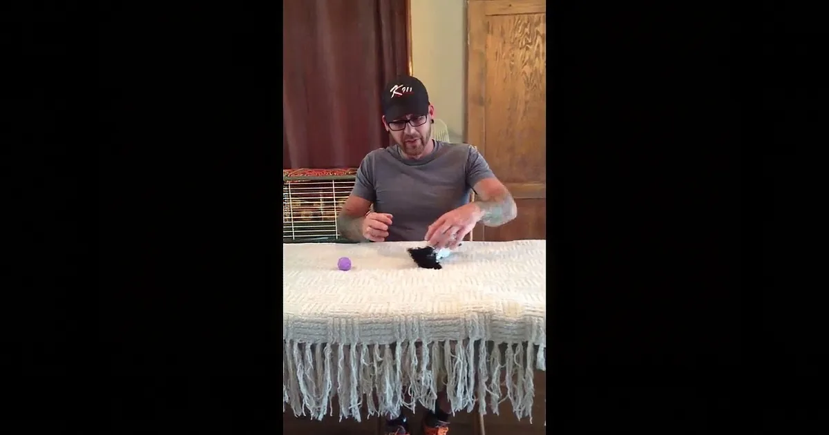 No One Thought This Small Dog Would Live More Than 24 Hours. but Then? OMG!