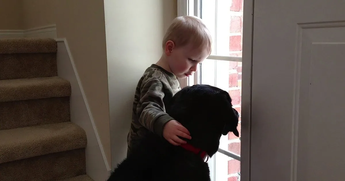 A young child pets a black dog near a window, with stairs and a door in the background.