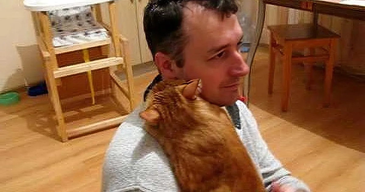 A man with a ginger cat on his shoulder in a cozy indoor setting.
