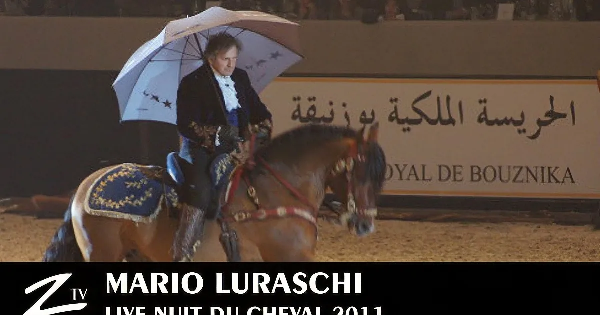 When This Trainer Held up His Umbrella, I Never Expected That Horse to Do This! Unbelievable! Wow!