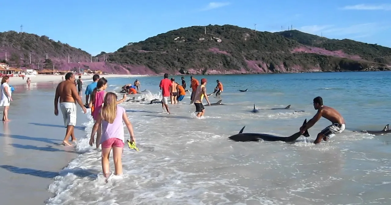 It Was a Normal Day on a Beach - Until Something Totally Unbelievable Appeared From the Sea!