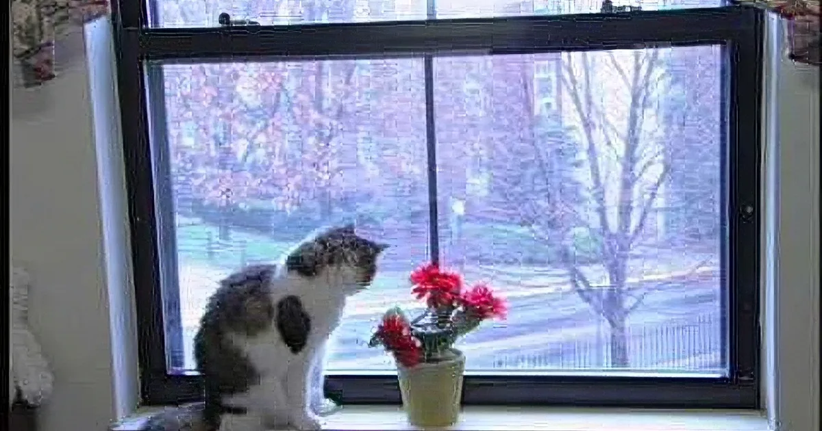 A gray and white cat sits on a windowsill, gazing out at a snowy landscape with trees and flowers.