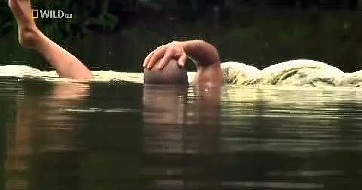 20 Years Ago, He Saved This Crocodile''s Life... What the Croc Did Next? This Left Me Breathless!