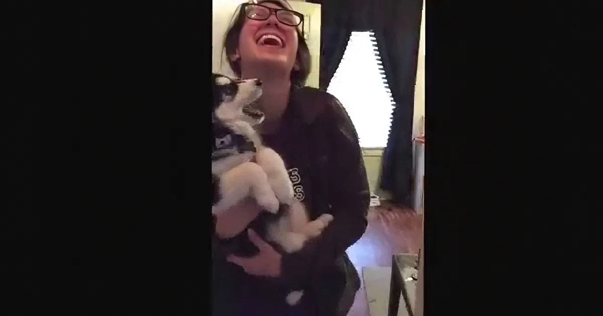 She Picks up Her Dog. but When He Opens His Mouth? I Can''t Stop Laughing!