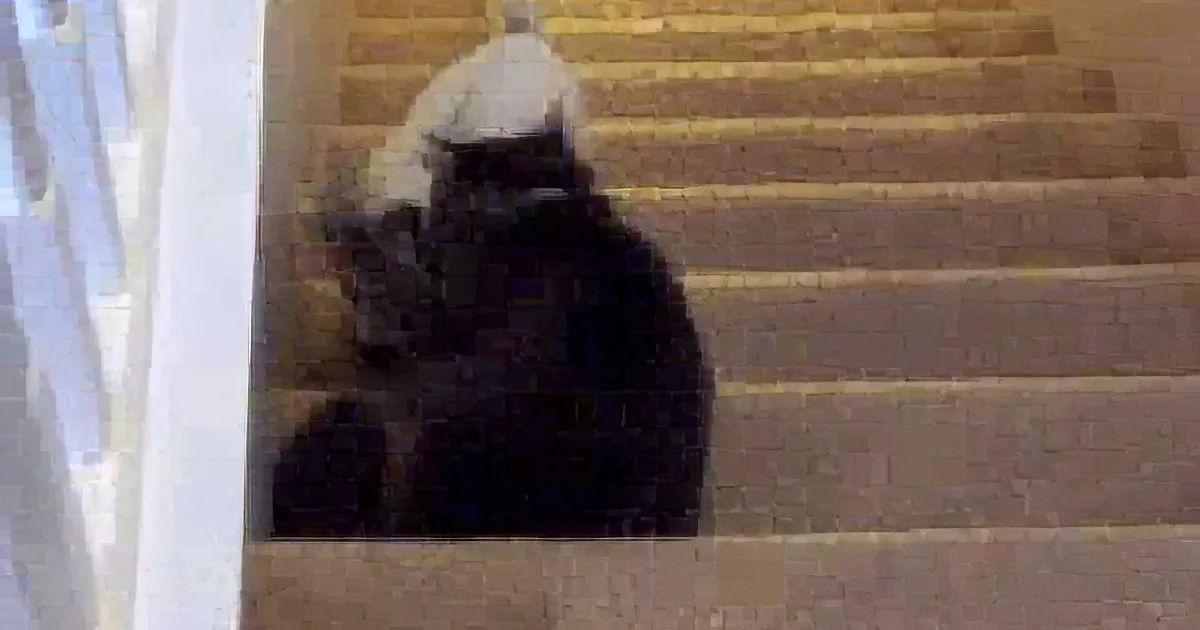 When They Left Their Cat and a Baby Goat in a Room, Then They Found Them Doing This! Hilarious!