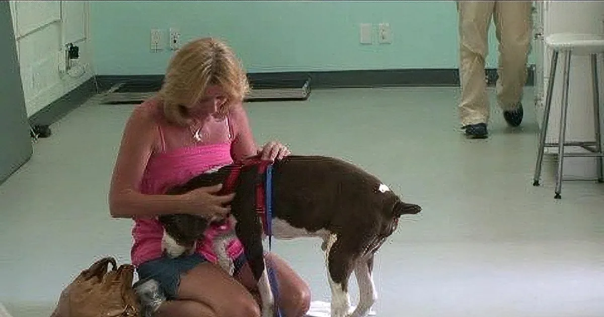 It''s Been 3 Years Since He Was Paralyzed. When the Doctors Performed This Miracle? I''m in Tears!