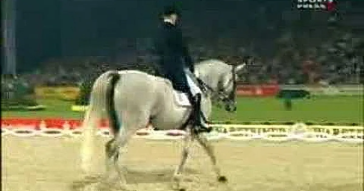 He Steps on the Field With His Horse. What the Horse Does Next? You''ll Be out of Breath!