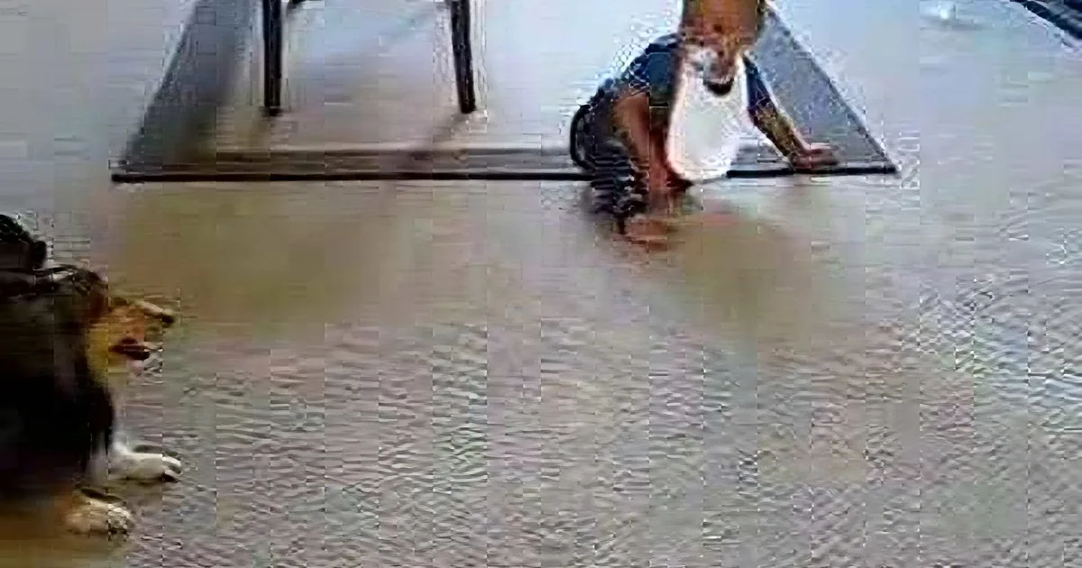 A baby and a dog are on a carpeted floor, with the baby on a mat and the dog lying nearby.