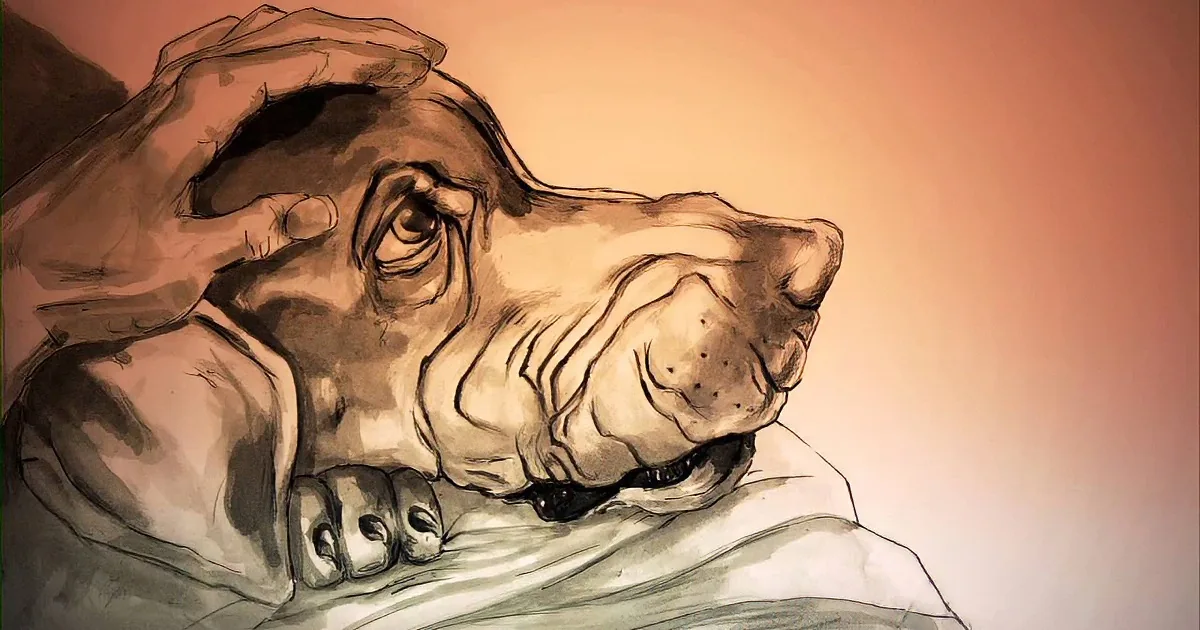 When Her Abusive Boyfriend Brutally Attacked Her, Then This Dog Did Something That Left Me in Tears!