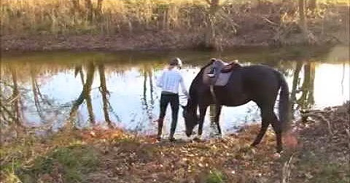 A person in a white shirt and black pants stands beside a dark horse near a reflective pond, surrounded by autumn foliage.