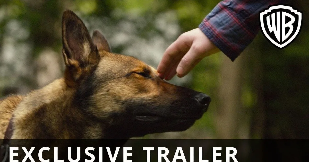 A German Shepherd is being petted on the head by a person in a plaid shirt.