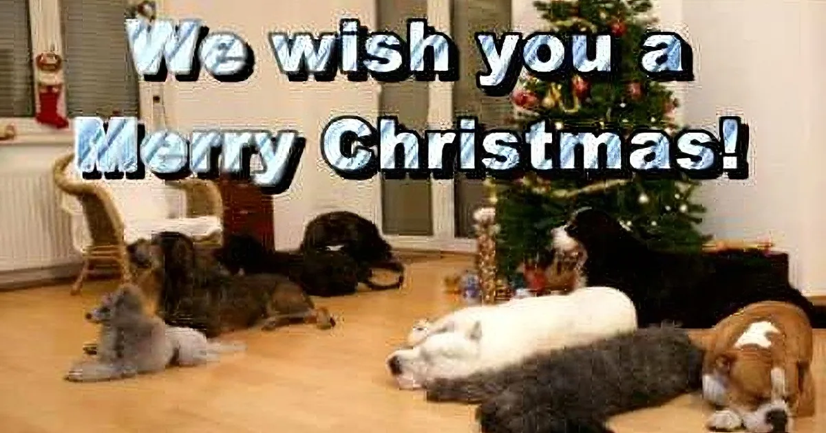 Multiple dogs rest on a wooden floor near a decorated Christmas tree, with text wishing a Merry Christmas.