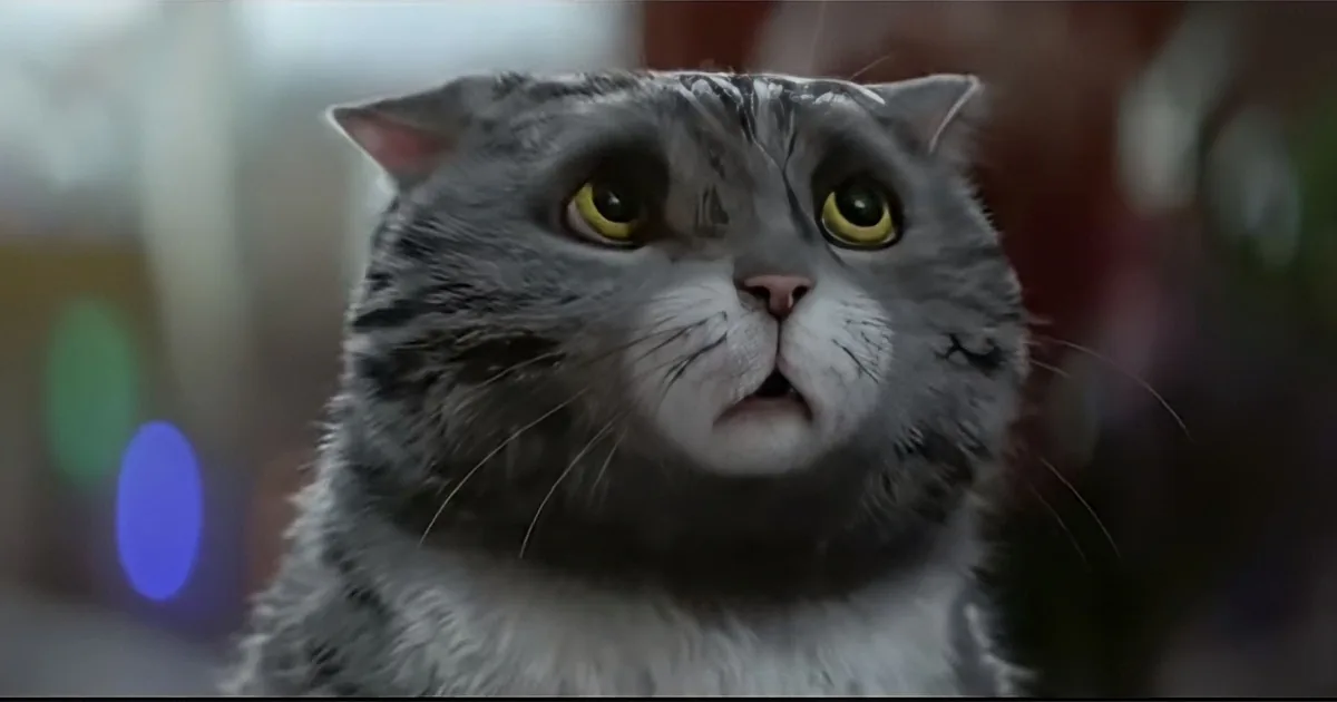 Adorable Clumsy Cat Nearly Ruins Christmas, but Wait for the Twist