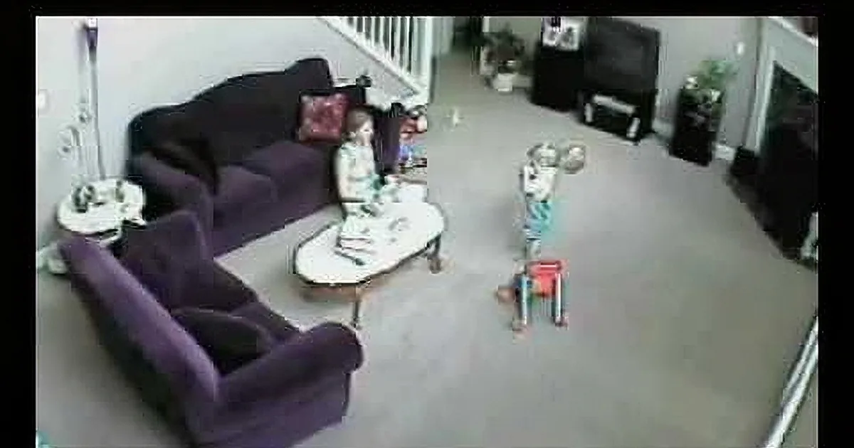 He Thought the Babysitter Was Hurting That Baby. Watch What This Cat Did to Defend Him! OMG!