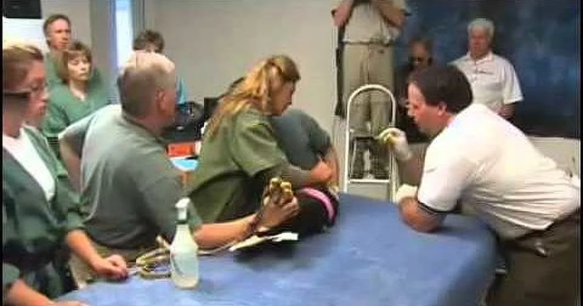 A person in a green shirt is being examined or treated by others at a table.