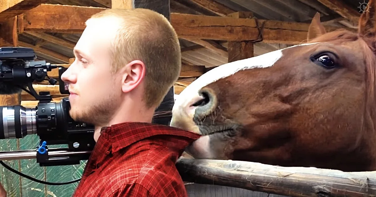 He''s Trying Not to Laugh on Camera. What That Horse Is Doing Has Everyone Cracking Up!