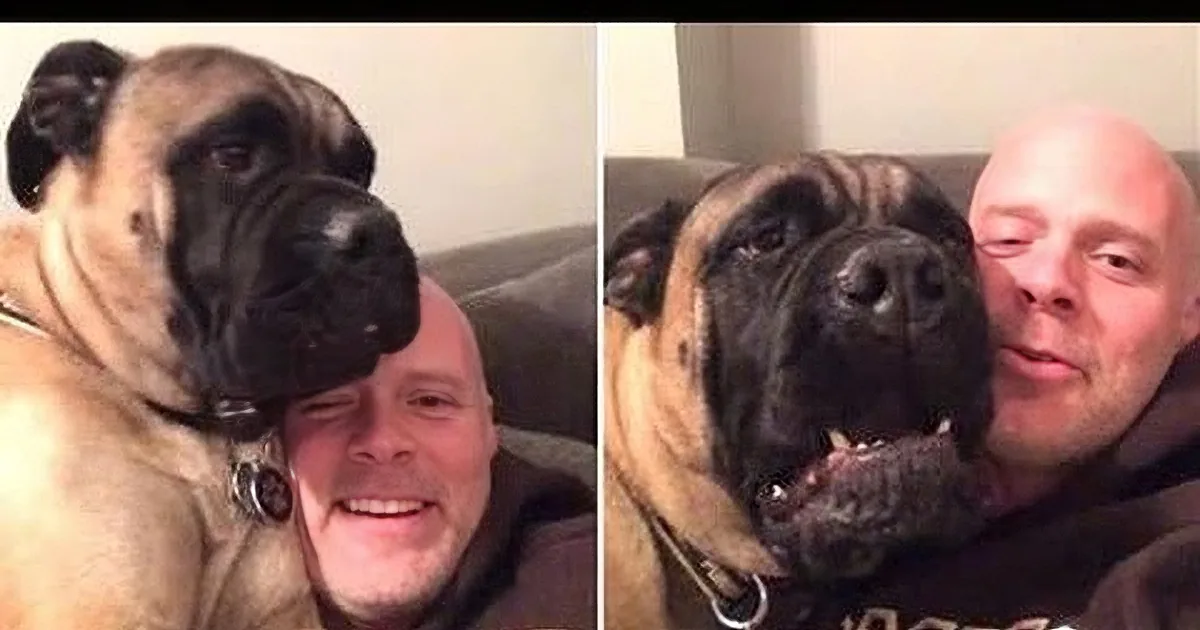 When This Guy Starts Singing ''12 Days of Christmas'' - His Dog''s Reaction Is Priceless