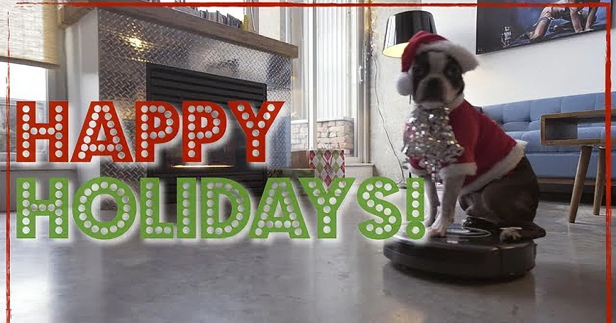 This Dog Is Sitting on a Roomba. What Happens When the Roomba Starts Moving Is Amazing to Watch. Adorable!