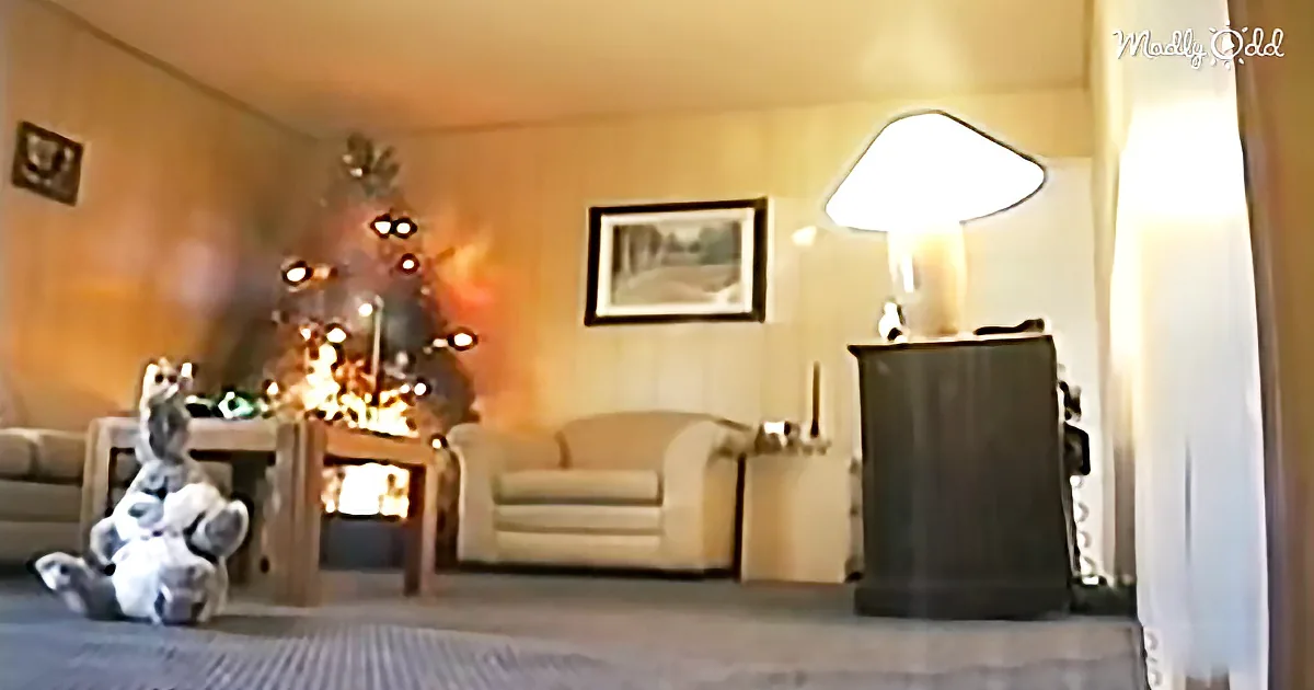 It Is the Time of Year We Need Reminders Like in This PSA Video - Be Safe This Holiday Season