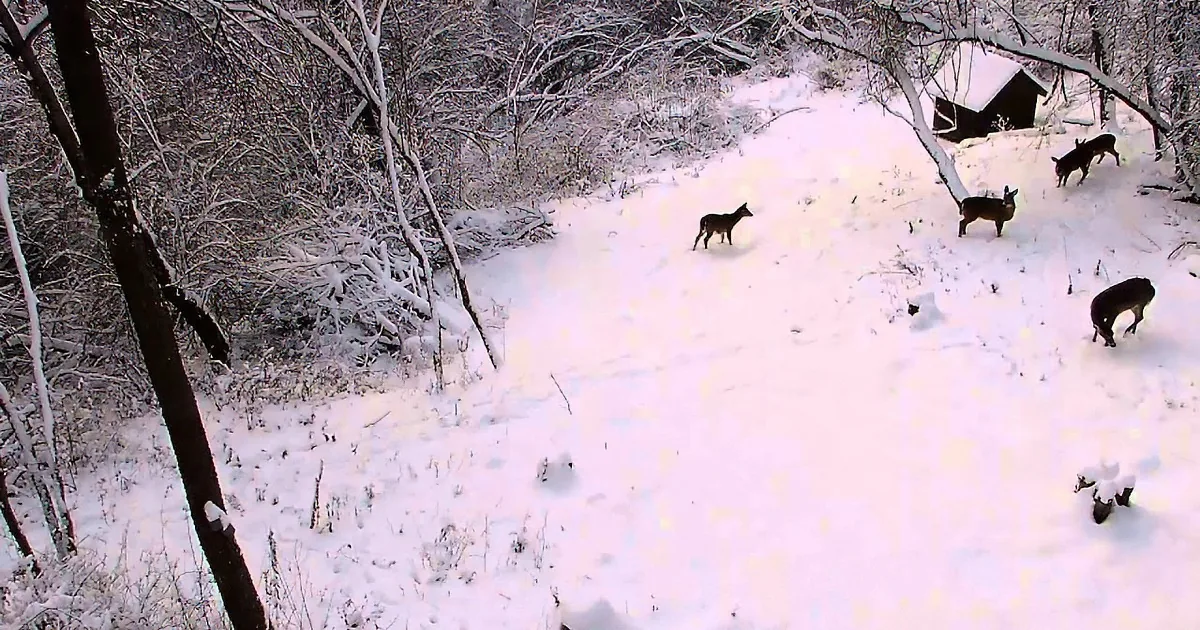 When the Kids Are Questioning Rudolph, You Must Share This Rare Footage!