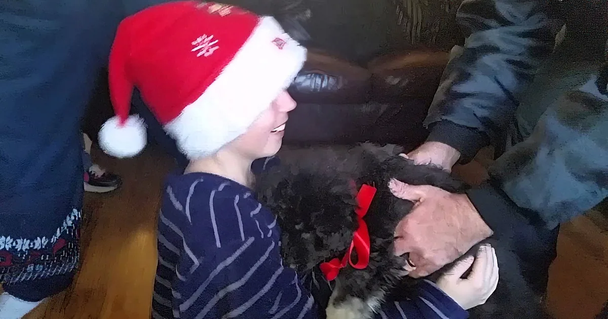 A child in a Santa hat and striped pajamas holds a small dog with a red ribbon.