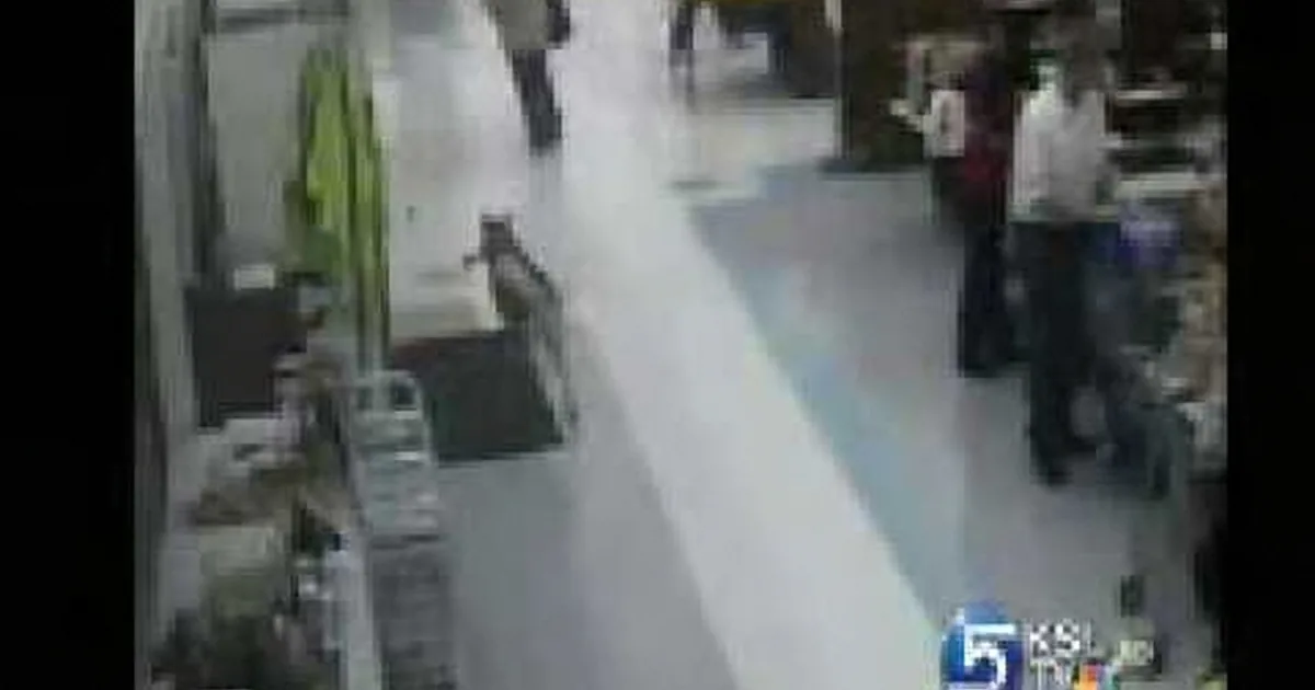 A cat walks down a store aisle, surrounded by people and shelves.