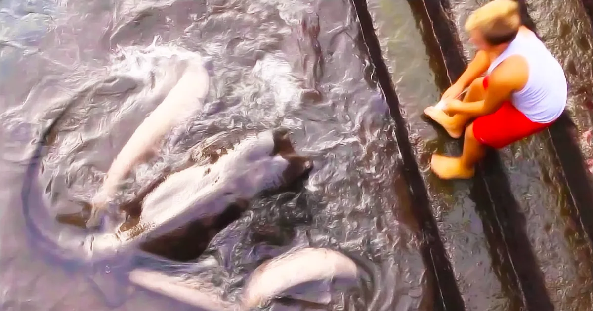 This Boy Has an Unusual Playmate and He Is Incredible