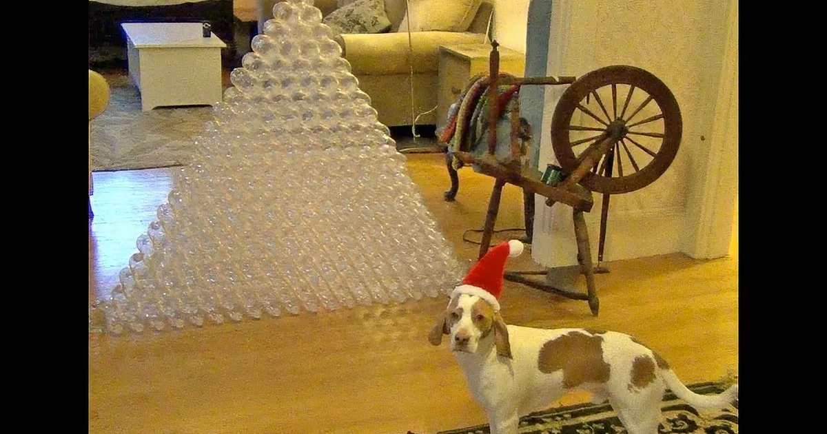 Daddy Shares Christmas Video of His Dog''s Most Favorite Gift Ever