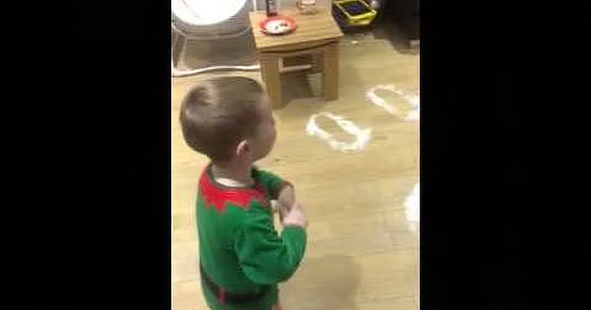 Little Kid Adorably Reacts to Evidence That Santa Visited in the Night!