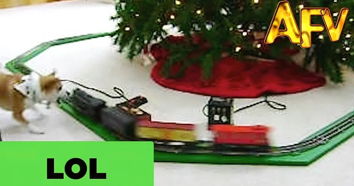 A cat curiously interacts with a toy train set under a Christmas tree.
