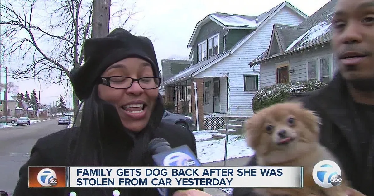 A Brother and Sister Are Reunited With Their Beloved Pomeranian on Christmas! Wow!