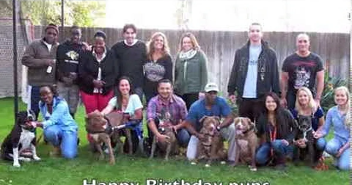 A group of people and dogs celebrate a birthday in a grassy yard.
