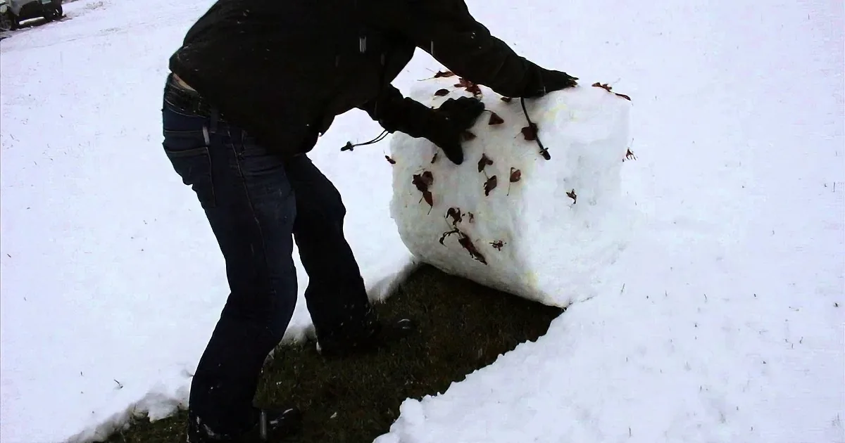 I Can''t Believe I Haven''t Seen This Before - I Will Never Shovel Snow Again