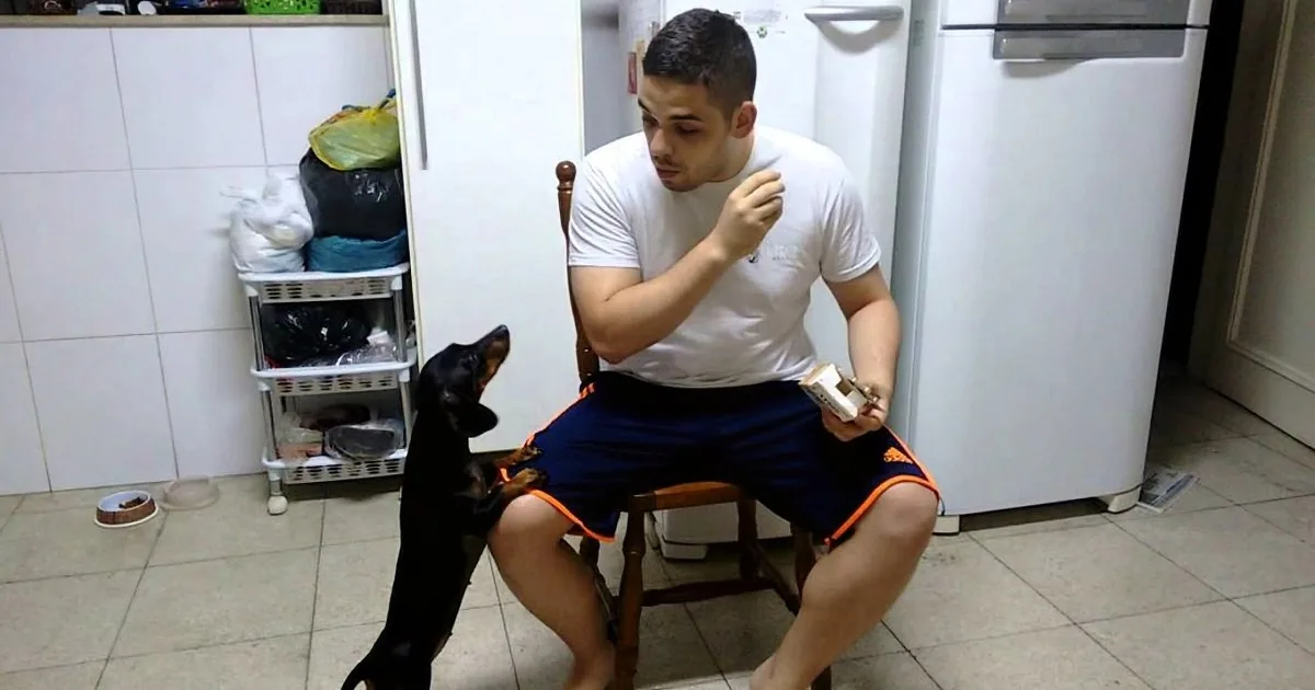 A man sits in a chair in a kitchen, holding a book, with a dog standing on a chair beside him.
