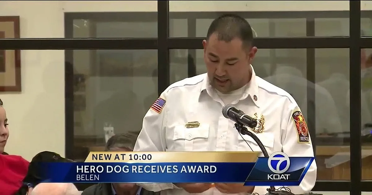 Firefighters Shocked When Tiny Dog Saves His Giant Best Friend! OMG!