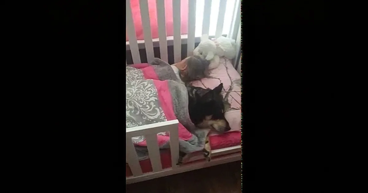 A child is sleeping in a crib with a pink blanket and a stuffed animal.
